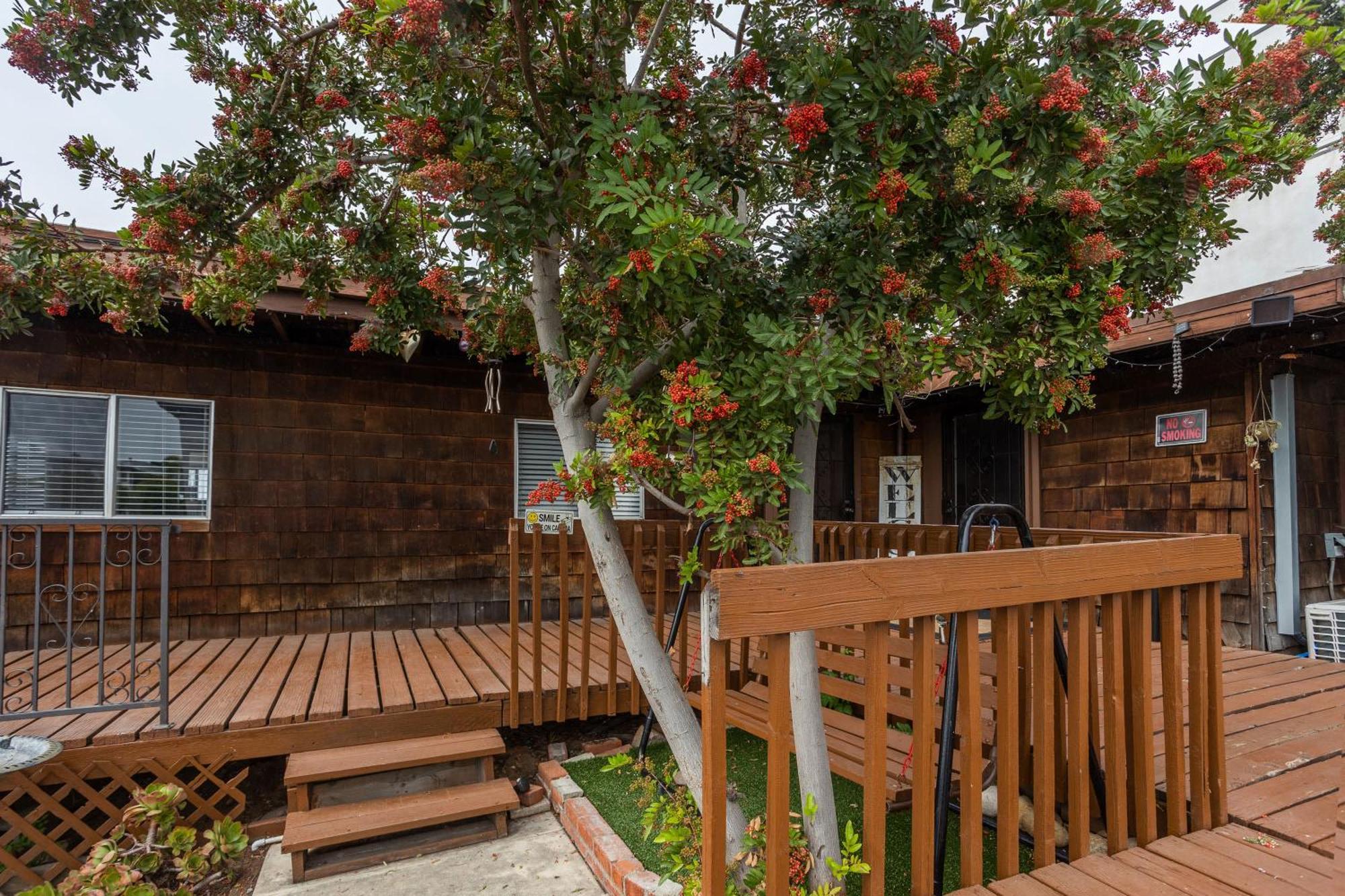 Special Studio In Center Of סן דייגו מראה חיצוני תמונה